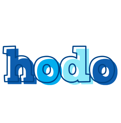 Hodo sailor logo