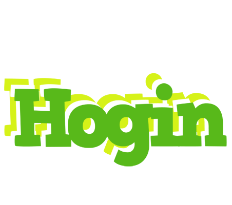 Hogin picnic logo