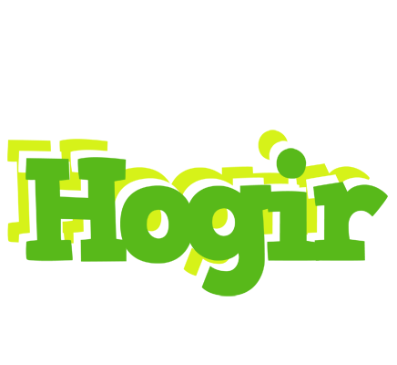 Hogir picnic logo