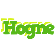 Hogne picnic logo