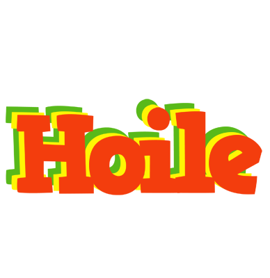 Hoile bbq logo