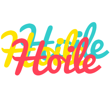 Hoile disco logo