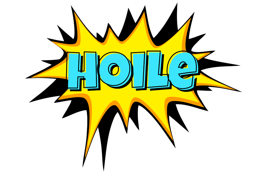 Hoile indycar logo
