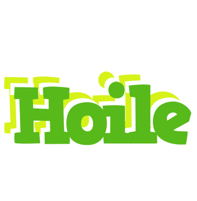 Hoile picnic logo