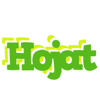 Hojat picnic logo