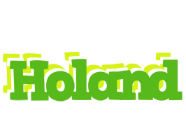 Holand picnic logo