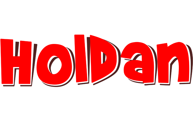 Holdan basket logo