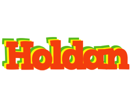 Holdan bbq logo