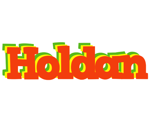 Holdan bbq logo