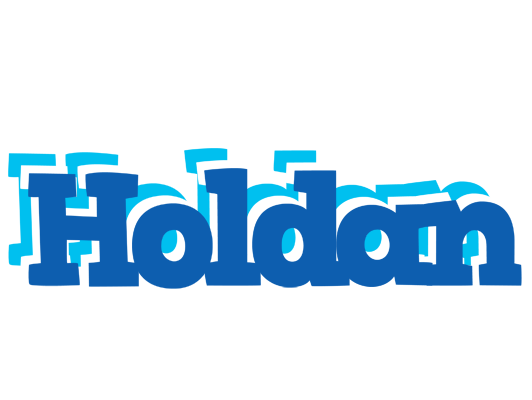 Holdan business logo