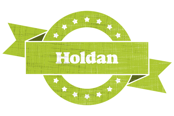Holdan change logo