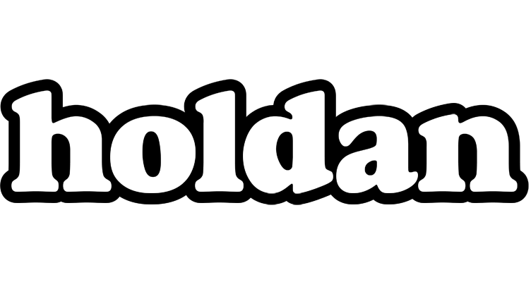 Holdan panda logo