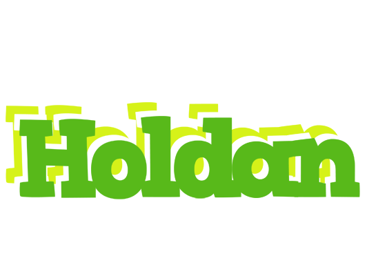 Holdan picnic logo