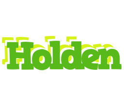 Holden picnic logo