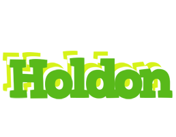 Holdon picnic logo