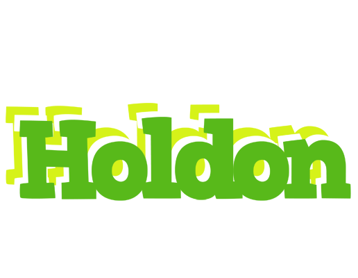 Holdon picnic logo
