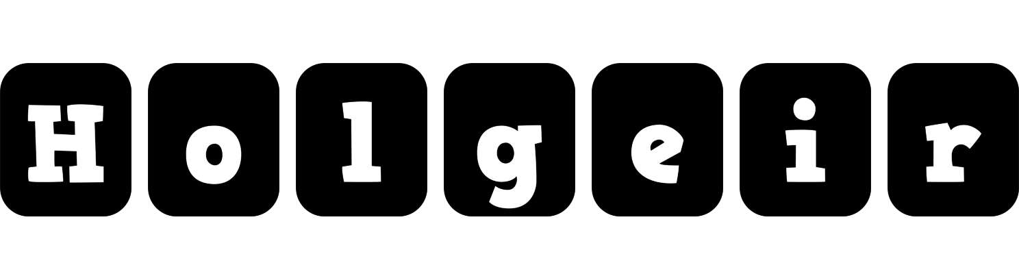 Holgeir box logo