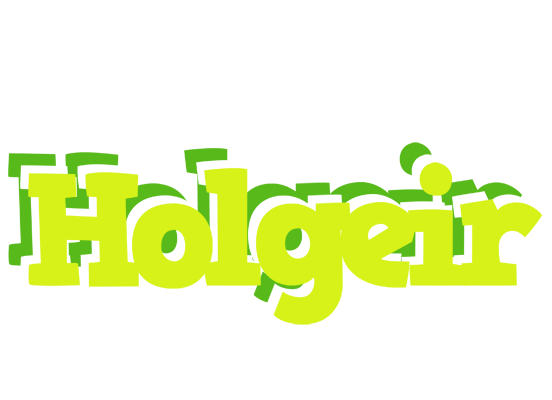 Holgeir citrus logo