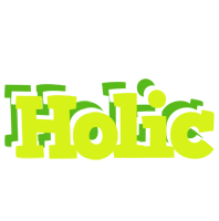 Holic citrus logo