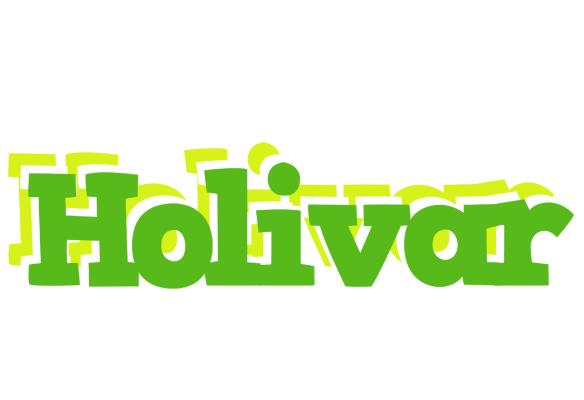 Holivar picnic logo
