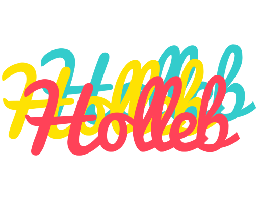 Holleb disco logo