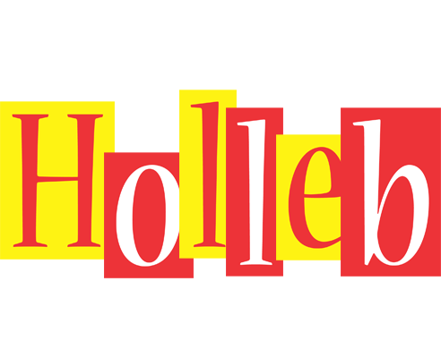 Holleb errors logo