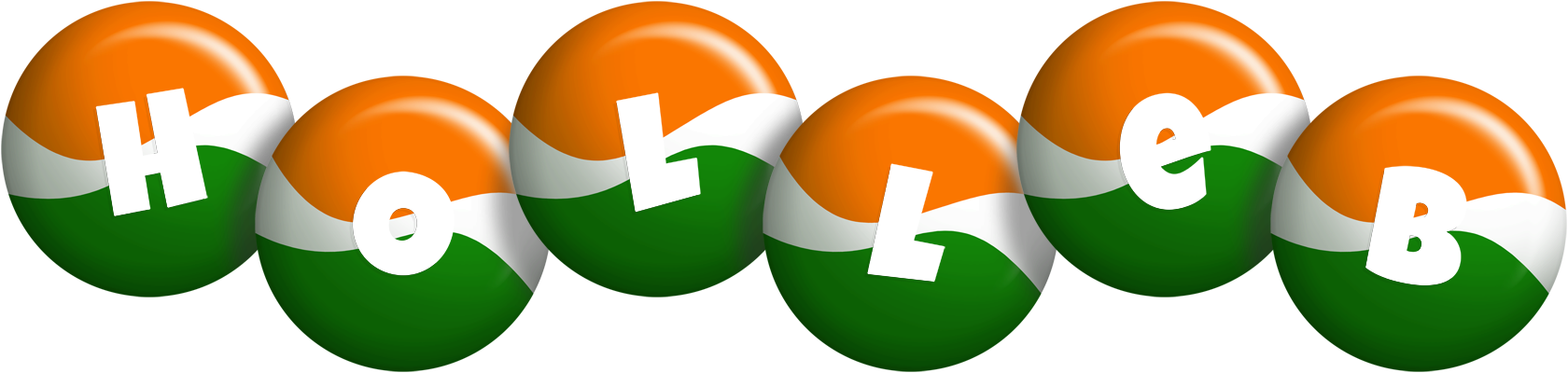 Holleb india logo