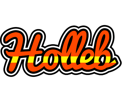 Holleb madrid logo