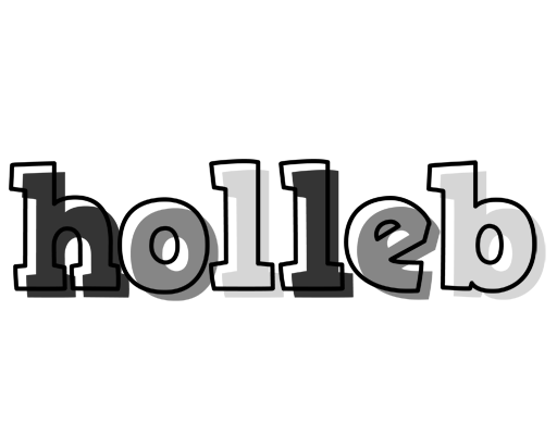 Holleb night logo