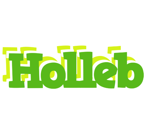 Holleb picnic logo