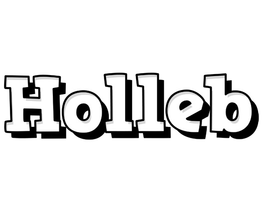 Holleb snowing logo