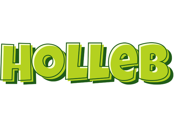 Holleb summer logo