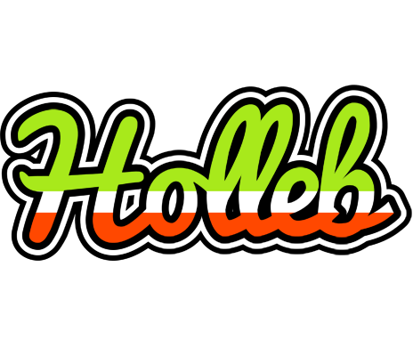 Holleb superfun logo
