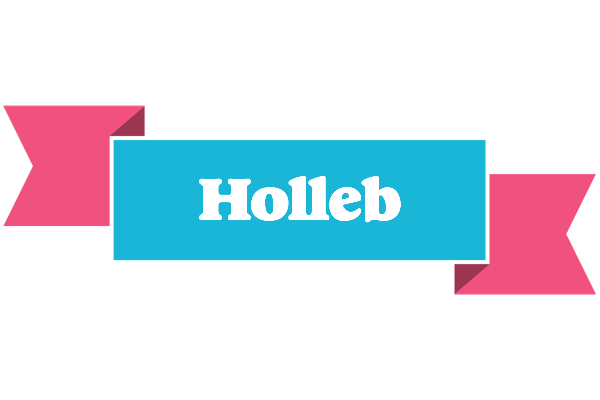 Holleb today logo