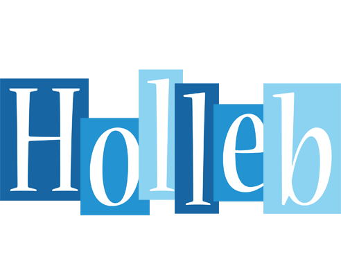 Holleb winter logo
