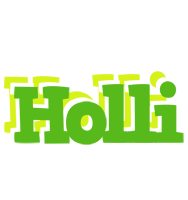 Holli picnic logo