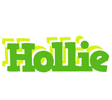 Hollie picnic logo