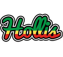 Hollis african logo