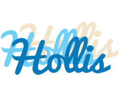 Hollis breeze logo