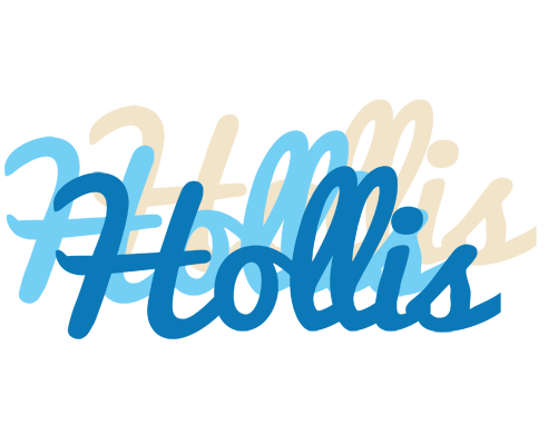 Hollis breeze logo