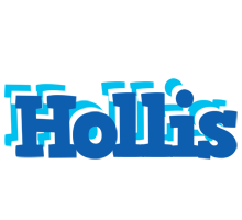 Hollis business logo