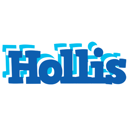 Hollis business logo