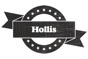 Hollis grunge logo