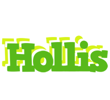 Hollis picnic logo