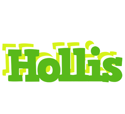 Hollis picnic logo