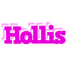 Hollis rumba logo