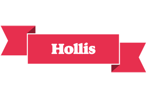 Hollis sale logo