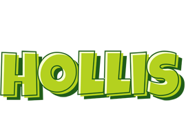 Hollis summer logo