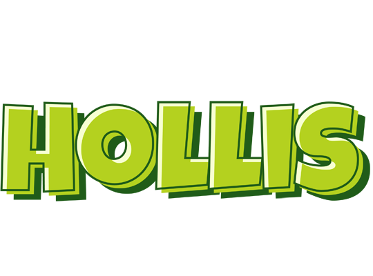 Hollis summer logo