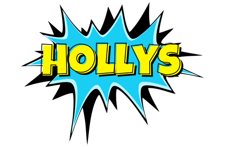 Hollys amazing logo